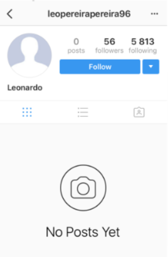 fake Instagram account