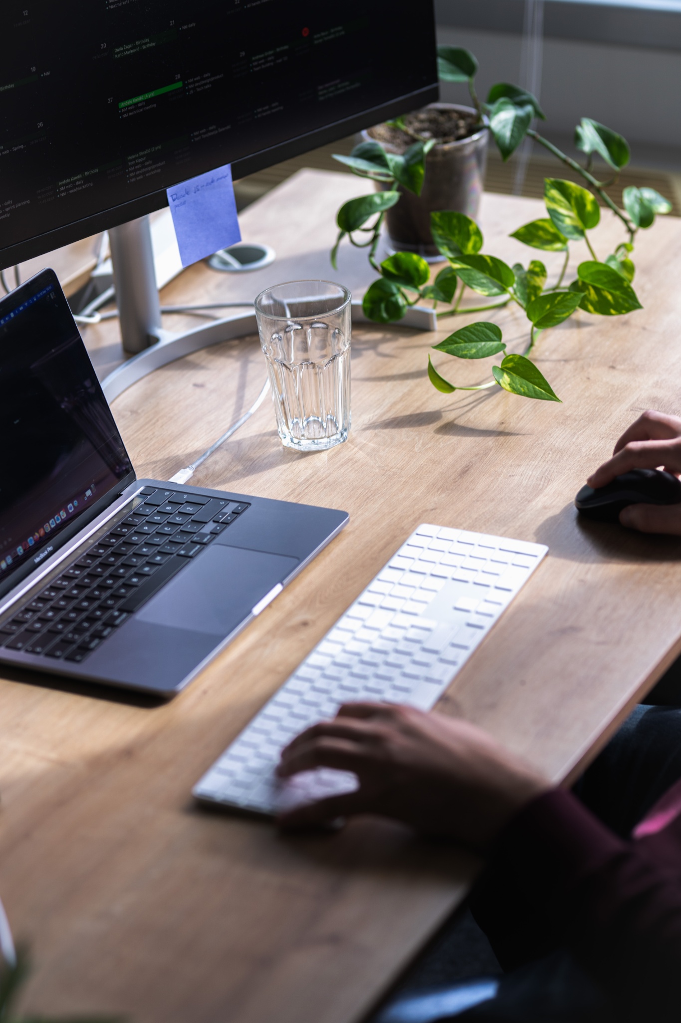 compressed under 1mb sharp 10