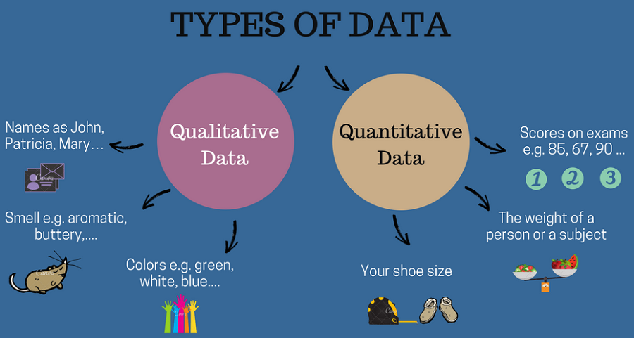 qualitative and quantitative data a short infographic