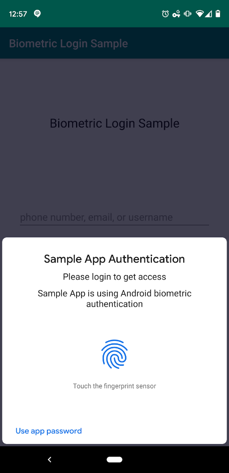 biometric login sample