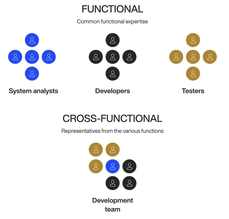 functional vs cross functional