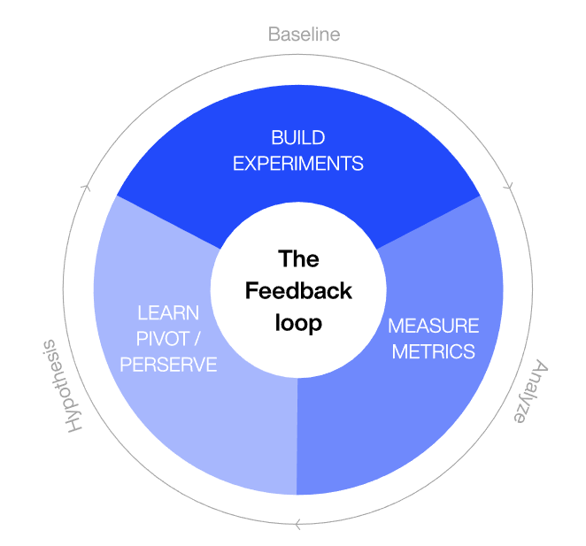 The feedback loop infographic