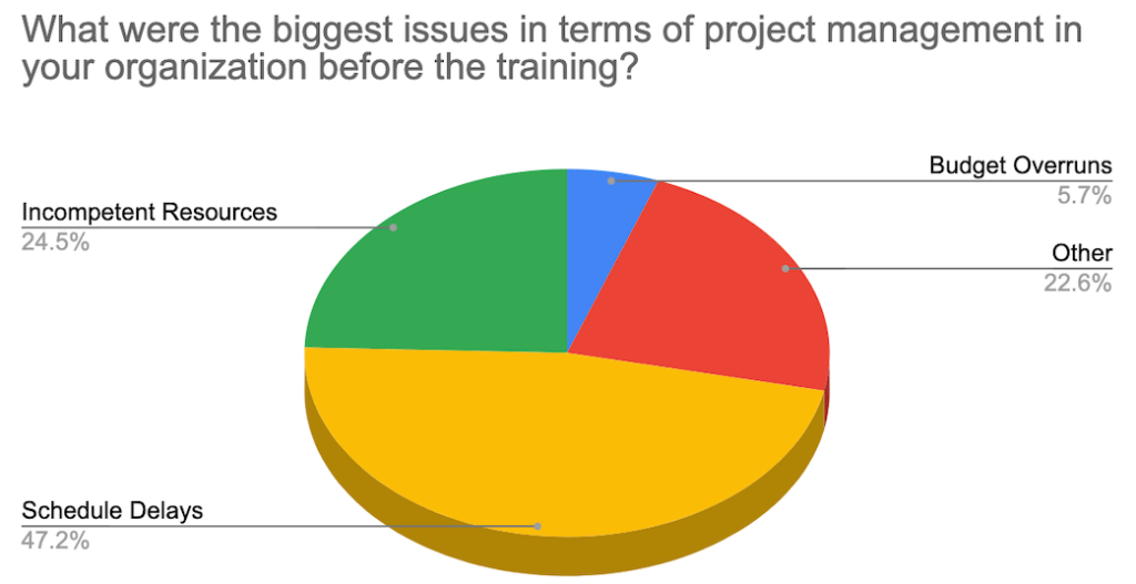 Project Management Issues in Organizations chart