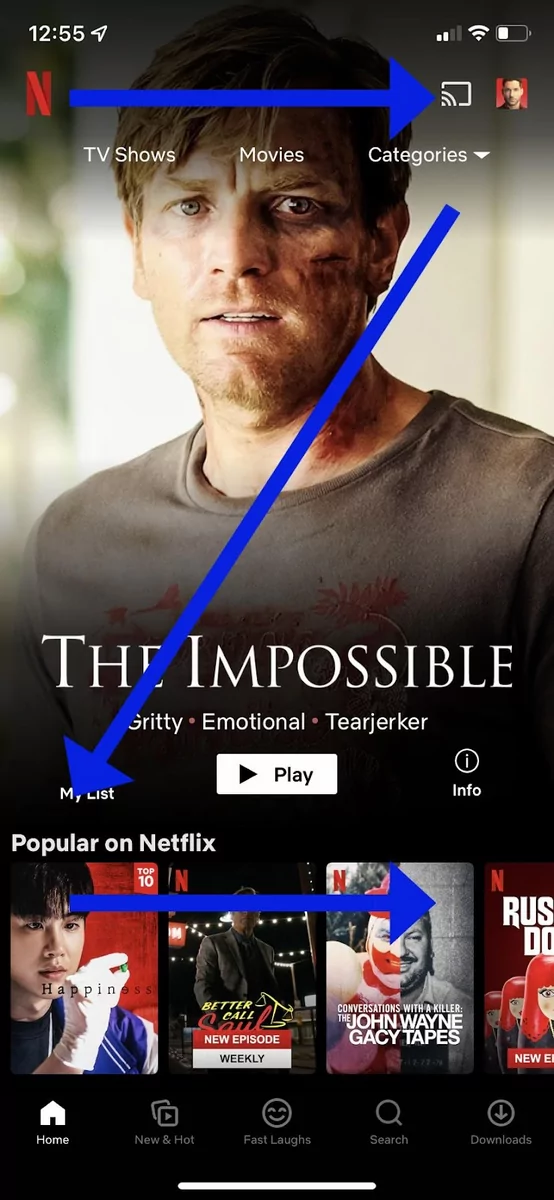 netflix app screenshot