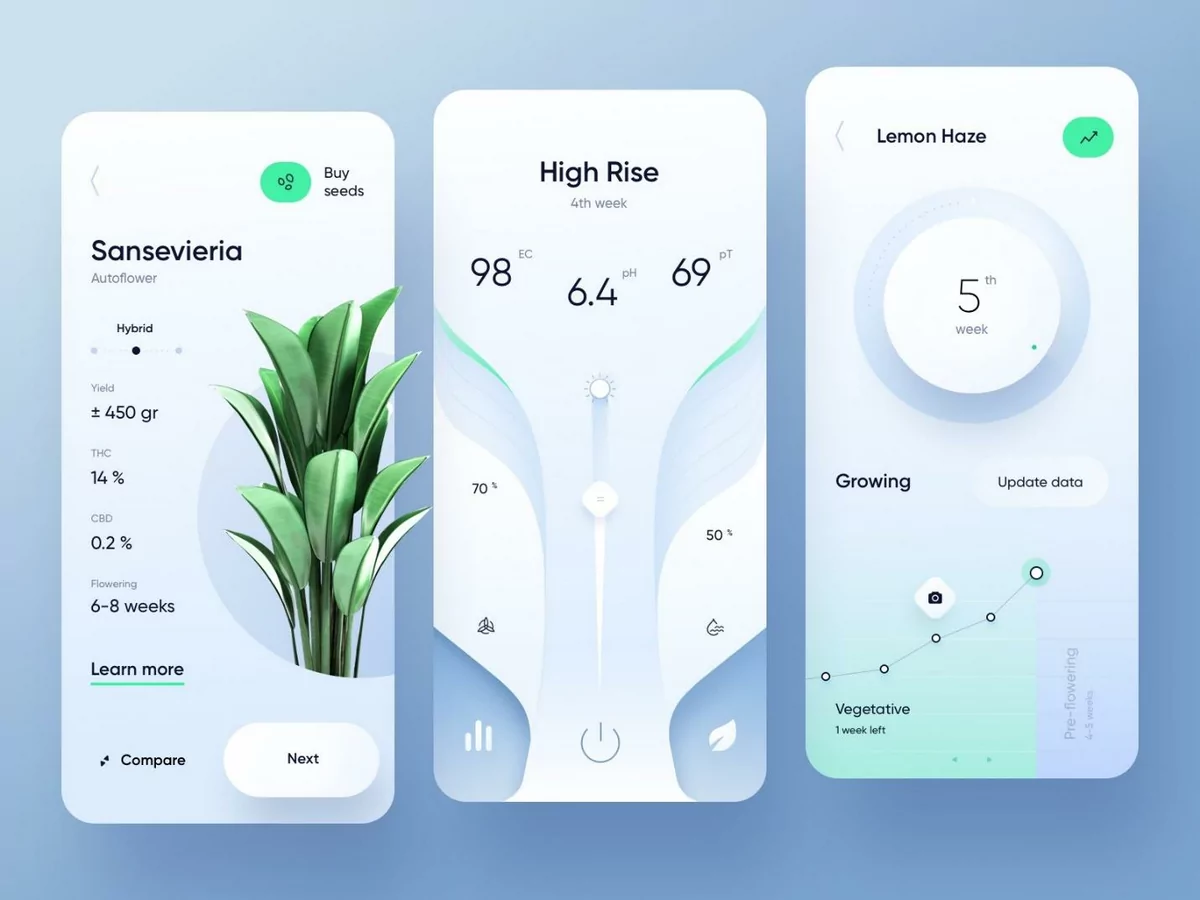 app design
