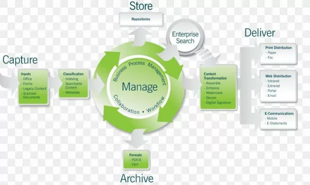 bespoke paperless office management system example 2