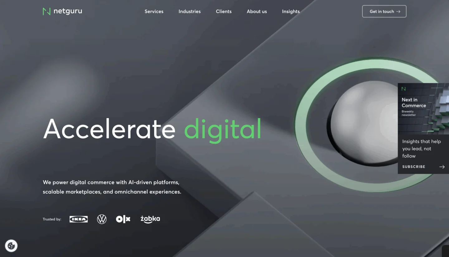 Netguru